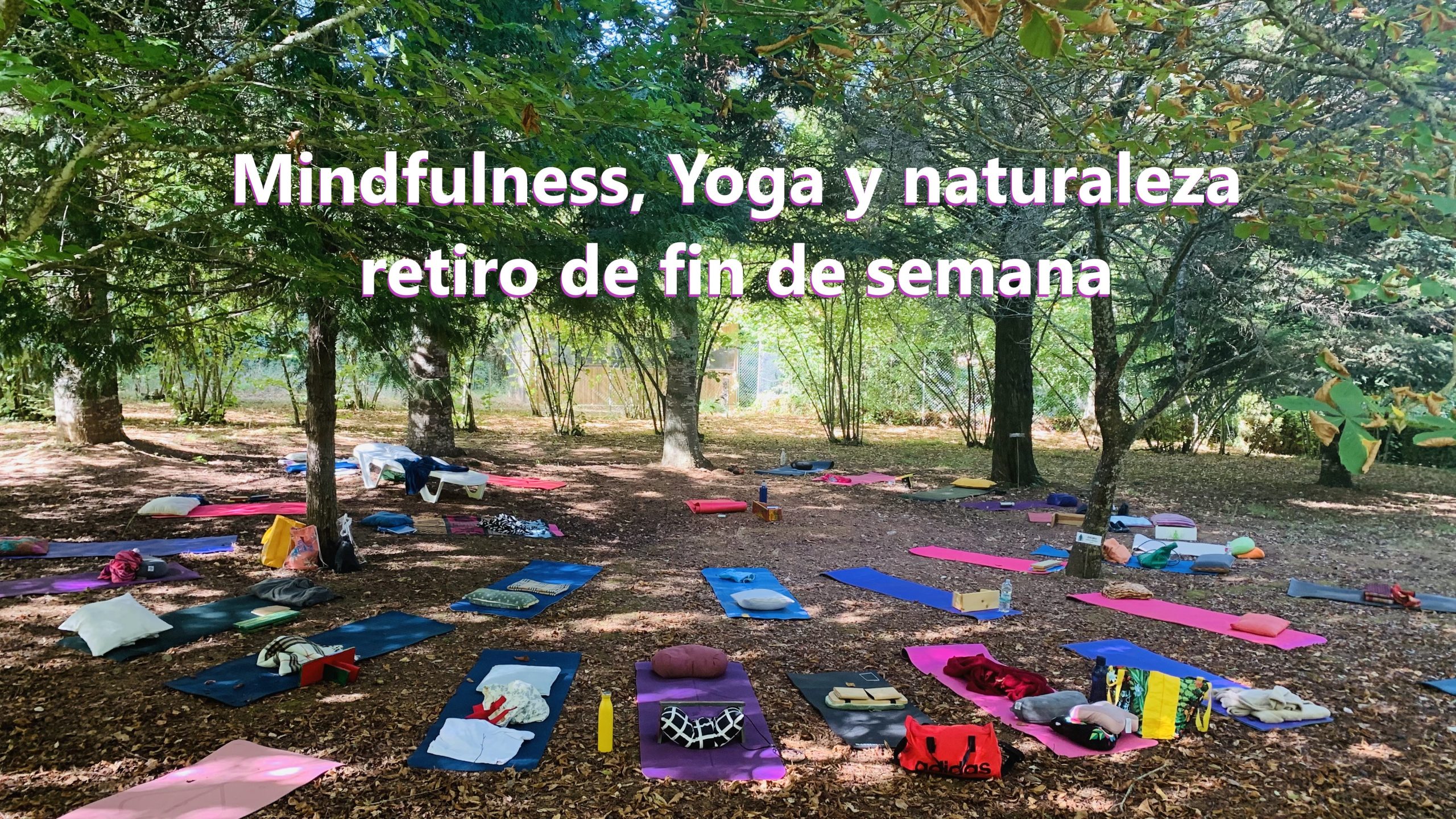 RETIRO FORMATIVO MINDFULNESS FIN DE SEMANA - tumindfulness